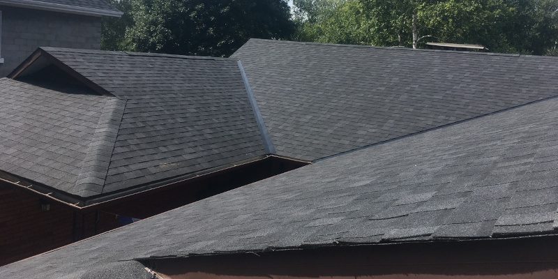 Roof Cleaning in Collingwood, Ontario